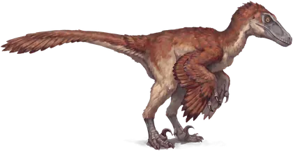 Bramble, illustrated dinosaur