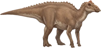 Maiasaura, a hadrosaur on all fours with a broad flat bill and a small solid crest between the eyes.