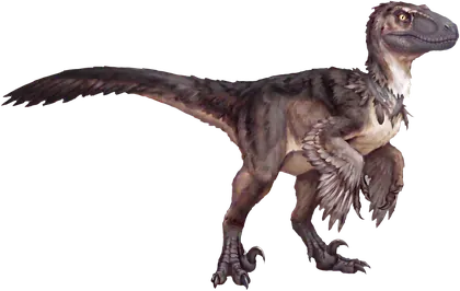 Nine, illustrated dinosaur